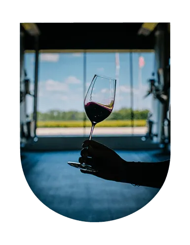 Invest in wines