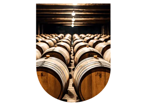 Fermentation alcoolique champagne