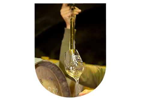 Dosage champagne