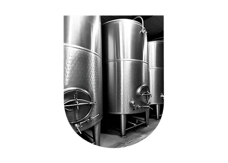 Fermentation alcoolique vin