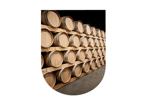 Élevage vin