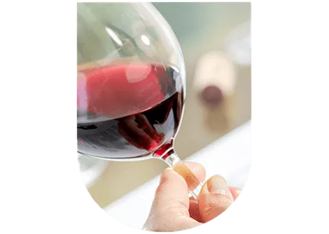 Dégustation Vins Primeurs : observer le vin