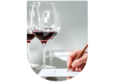 Dégustation Vins Primeurs : noter et comparer les vins Primeurs