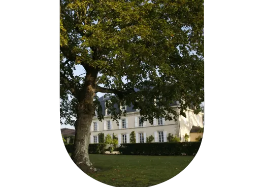 Château Guiraud