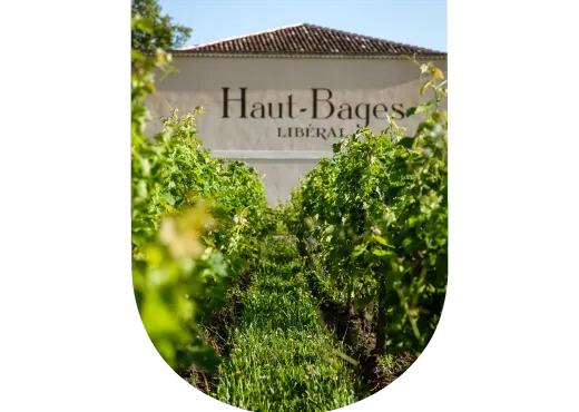 Château Haut-Bages Libéral