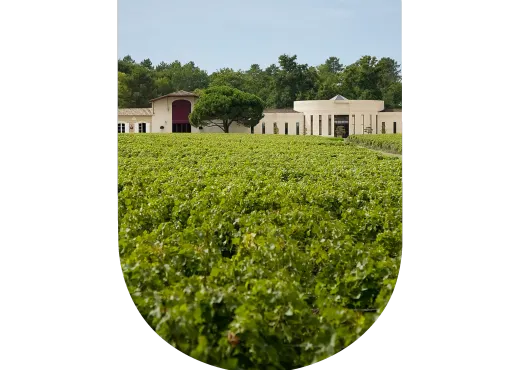 Domaine de Chevalier
