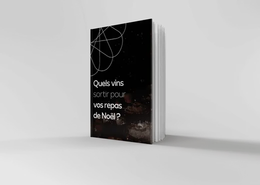 Livre blanc "Quels vins sortir pour vos repas de Noël ?"