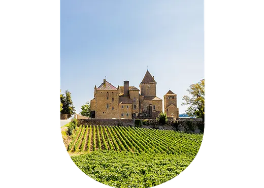 Bordeaux rive gauche : entre vin puissant et équilibré