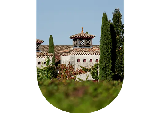 Pessac Léognan : entre vin élégant et frais