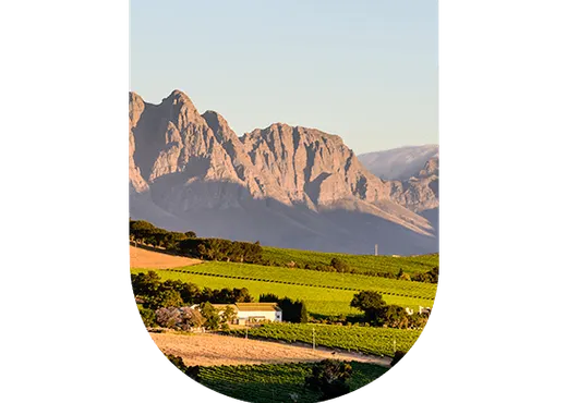 Région viticole Afrique du Sud