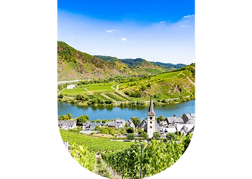Région viticole Allemagne
