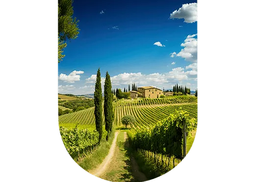 Région viticole Italie