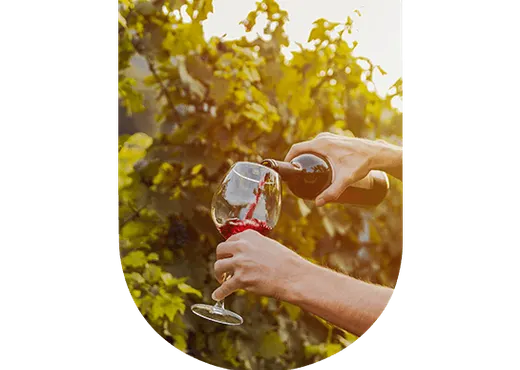 Un calice di vino rosso tra i vigneti