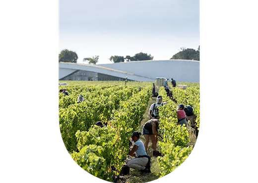 Château Cheval Blanc