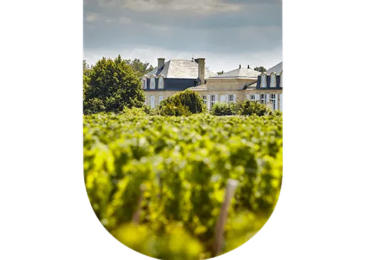 Château Langoa Barton