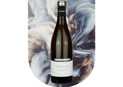 Vin de Bourgogne en solde : Domaine Bruno Colin - Blanc 2019