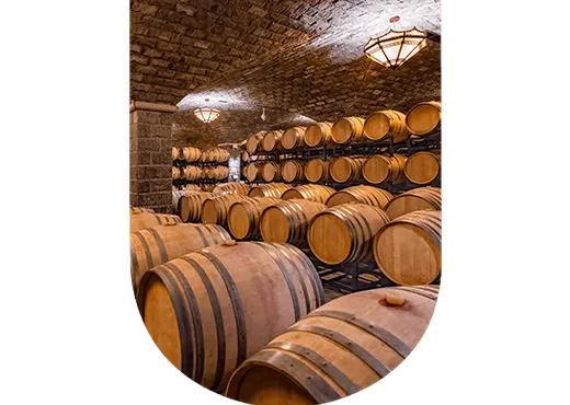 Les meilleurs millésimes vins de Bordeaux