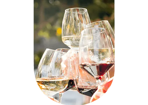 Découvrez les classifications du vin : AOC, IGP, vin de France... Apprenez à comprendre les labels, critères de qualité et les distinctions entre chaque vin.
