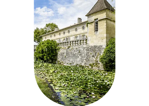 Château Beauregard : Domaine viticole à Pomerol