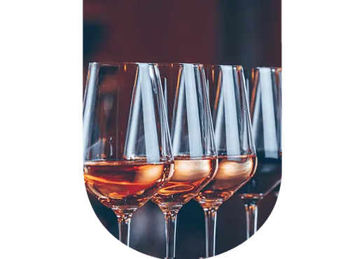 La dégustation de vin est un apprentissage !